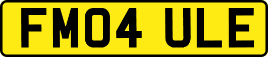 FM04ULE