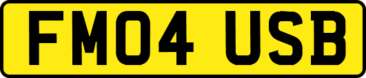 FM04USB