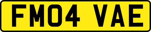 FM04VAE