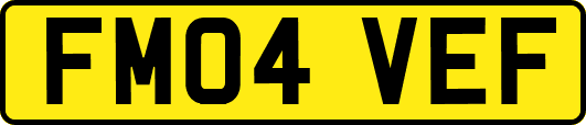 FM04VEF