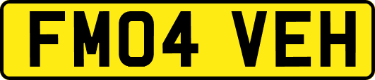FM04VEH