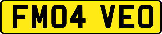 FM04VEO