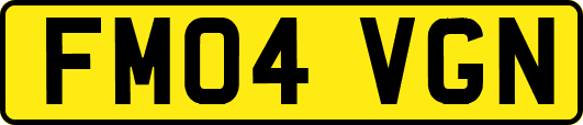 FM04VGN