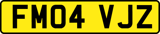 FM04VJZ