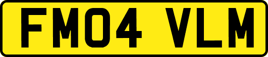 FM04VLM