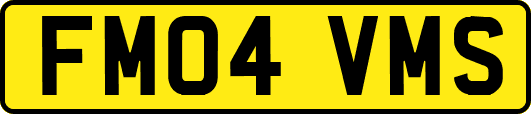 FM04VMS