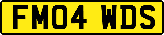 FM04WDS
