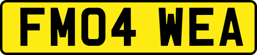 FM04WEA