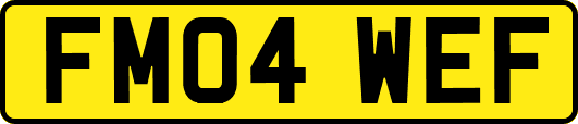 FM04WEF