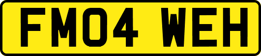 FM04WEH