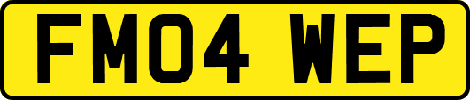FM04WEP
