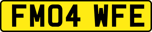 FM04WFE