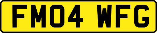 FM04WFG