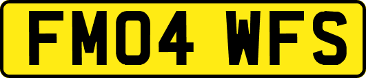 FM04WFS