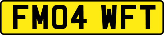 FM04WFT