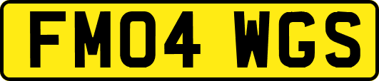 FM04WGS