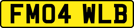 FM04WLB