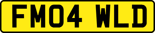 FM04WLD