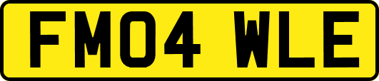 FM04WLE