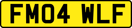 FM04WLF