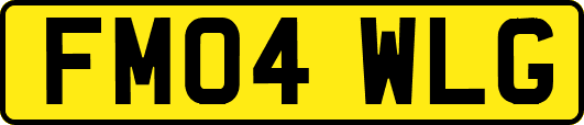 FM04WLG
