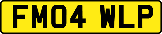 FM04WLP