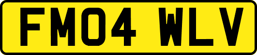 FM04WLV