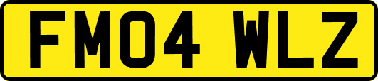 FM04WLZ