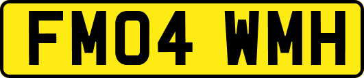 FM04WMH