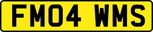 FM04WMS