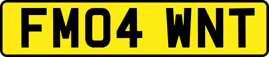 FM04WNT