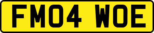 FM04WOE
