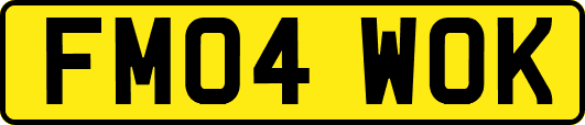 FM04WOK