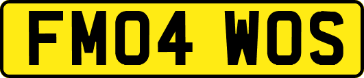 FM04WOS