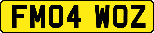 FM04WOZ