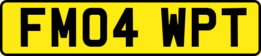 FM04WPT