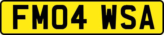 FM04WSA
