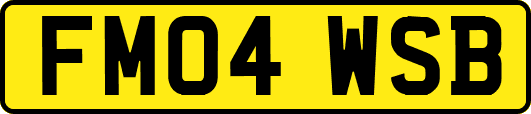 FM04WSB