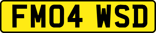 FM04WSD