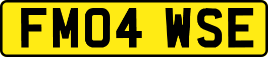 FM04WSE