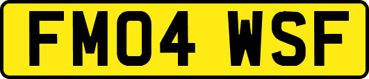 FM04WSF