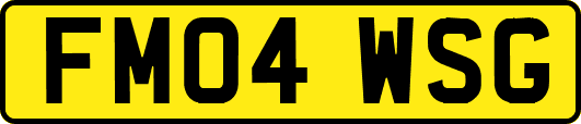 FM04WSG
