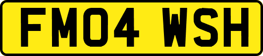 FM04WSH