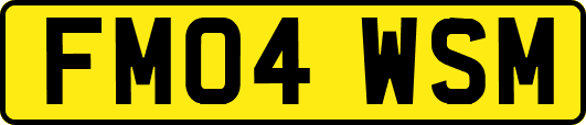 FM04WSM