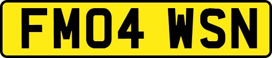 FM04WSN