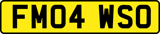FM04WSO