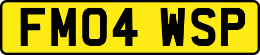 FM04WSP