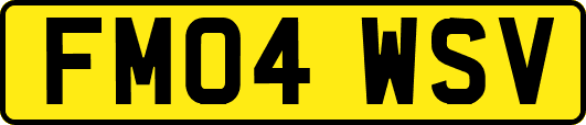 FM04WSV