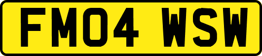 FM04WSW