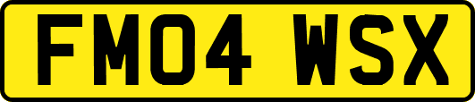 FM04WSX
